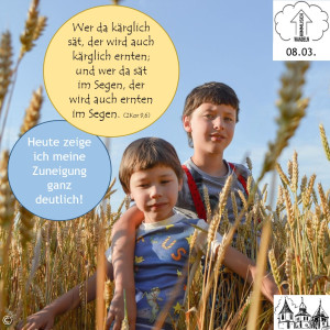 08.03.