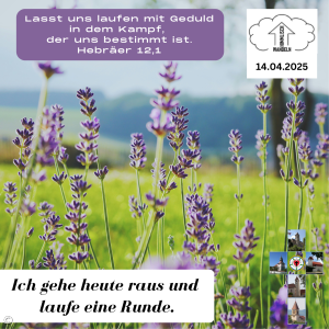14.04.25
