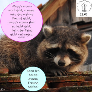 22.03.